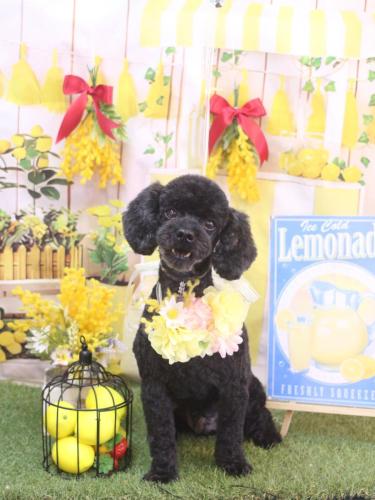 20240419マハロくん